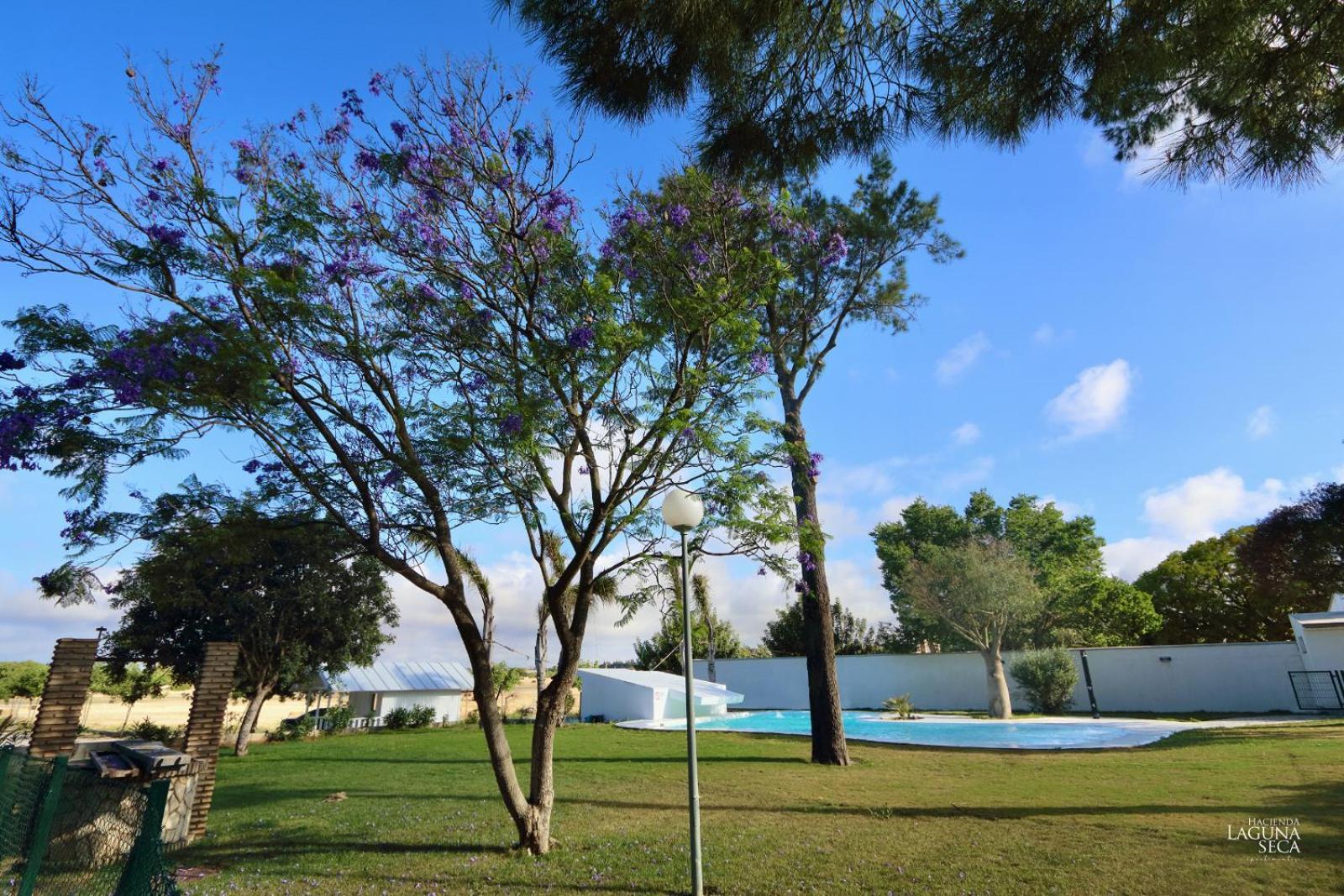 Hacienda Laguna Seca - Apart. Lavanda Чиклана-де-ла-Фронтера Екстер'єр фото